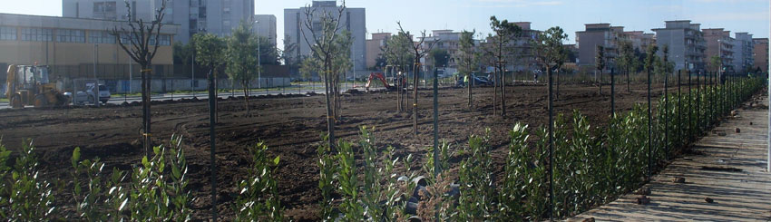 Realizzazione manutenzione aree verdi Napoli